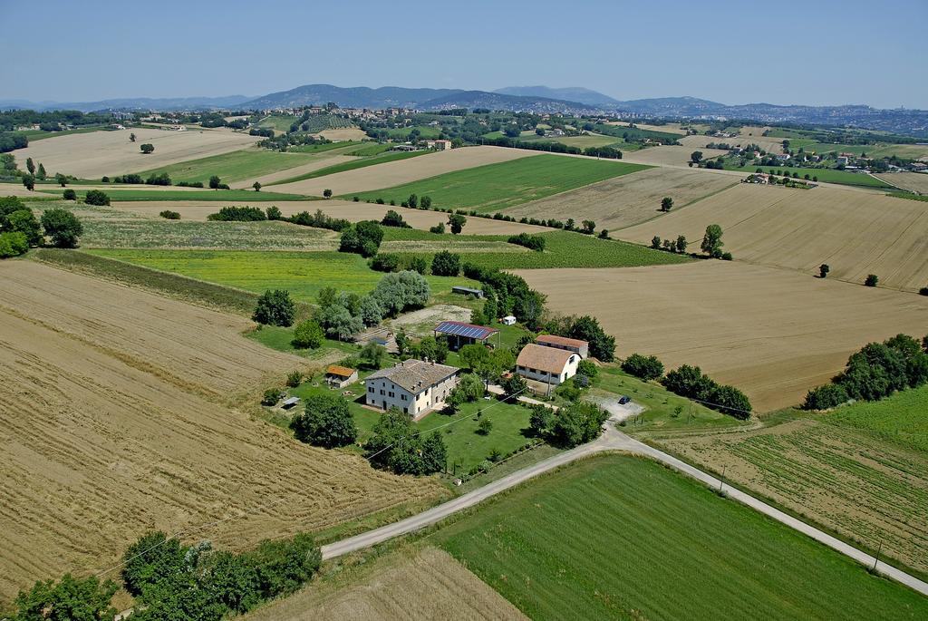 Fattoria Il Bruco Villa Pila  Eksteriør billede